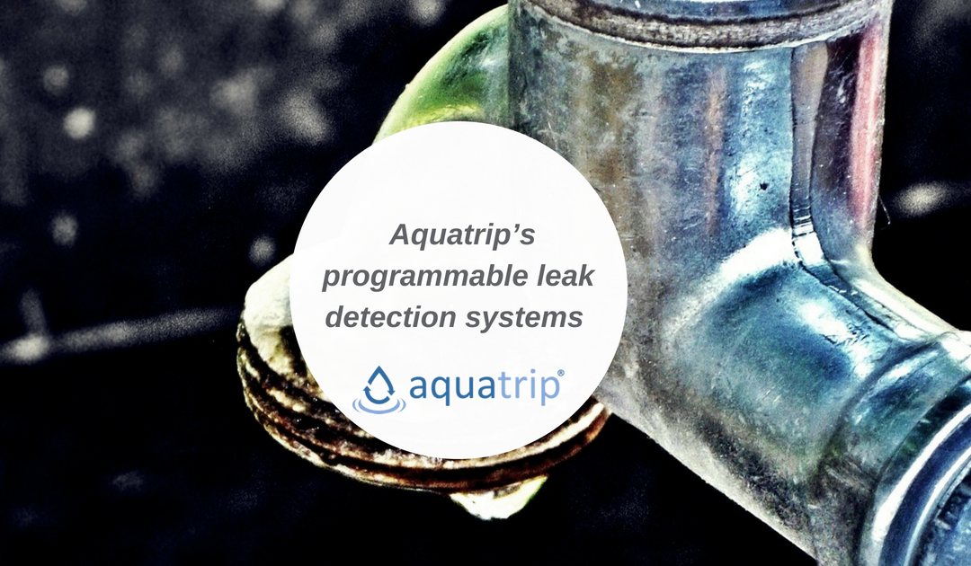 programmable leak detection systems